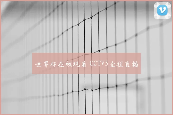 世界杯在线观看 CCTV5全程直播