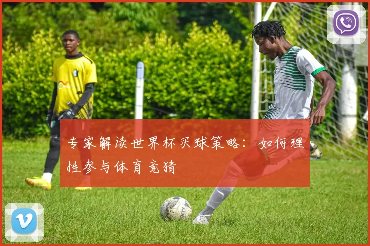 专家解读世界杯买球策略：如何理性参与体育竞猜