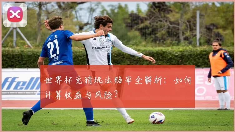 世界杯竞猜玩法赔率全解析:如何计算收益与风险?