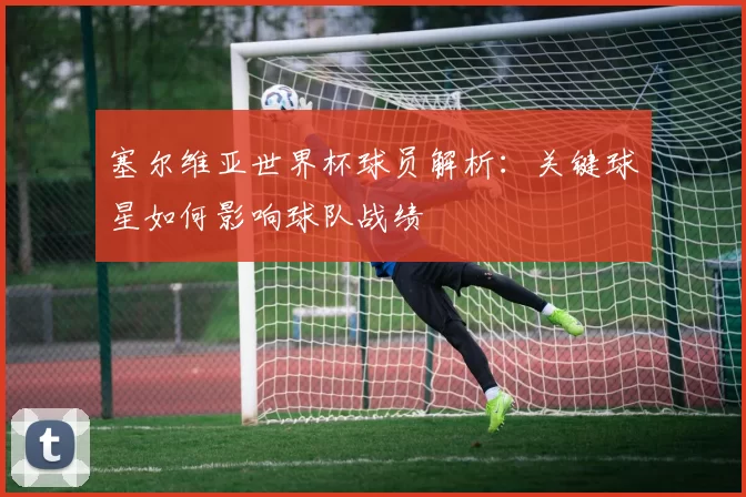 塞尔维亚世界杯球员解析：关键球星如何影响球队战绩