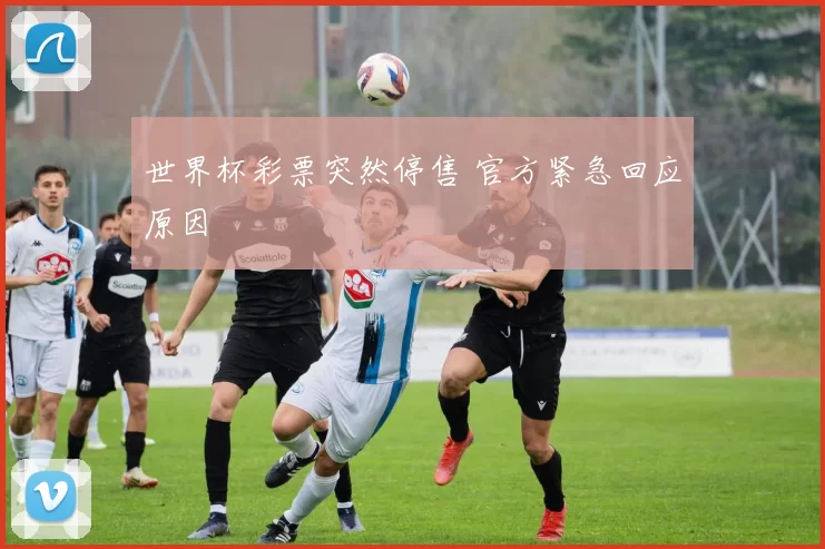 世界杯彩票突然停售 官方紧急回应原因