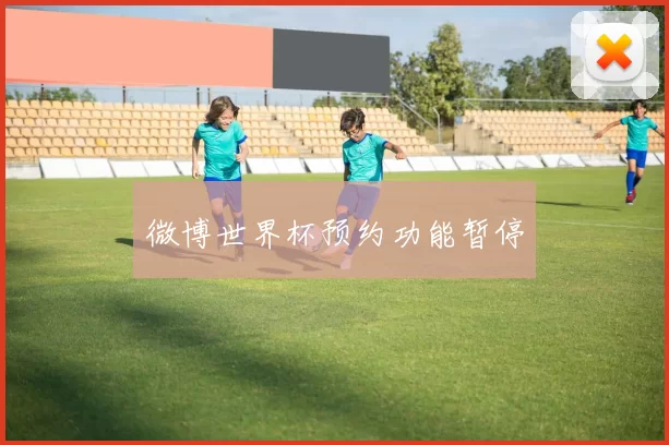 微博世界杯预约功能暂停