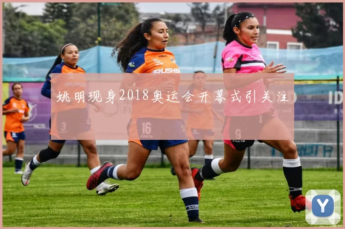 姚明现身2018奥运会开幕式引关注