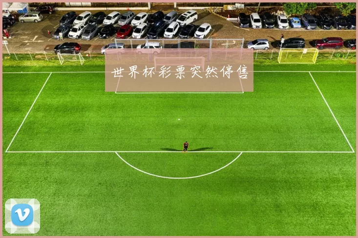 世界杯彩票突然停售