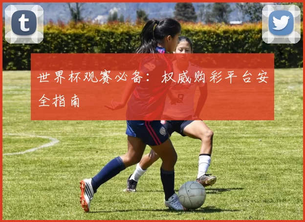 世界杯观赛必备：权威购彩平台安全指南