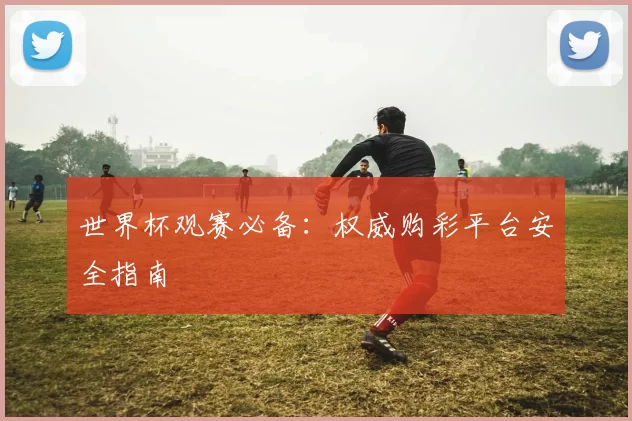 世界杯观赛必备：权威购彩平台安全指南