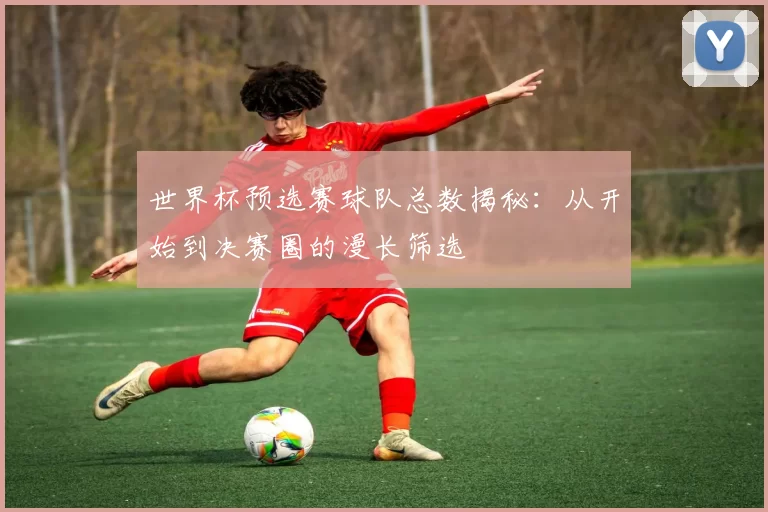世界杯预选赛球队总数揭秘：从开始到决赛圈的漫长筛选