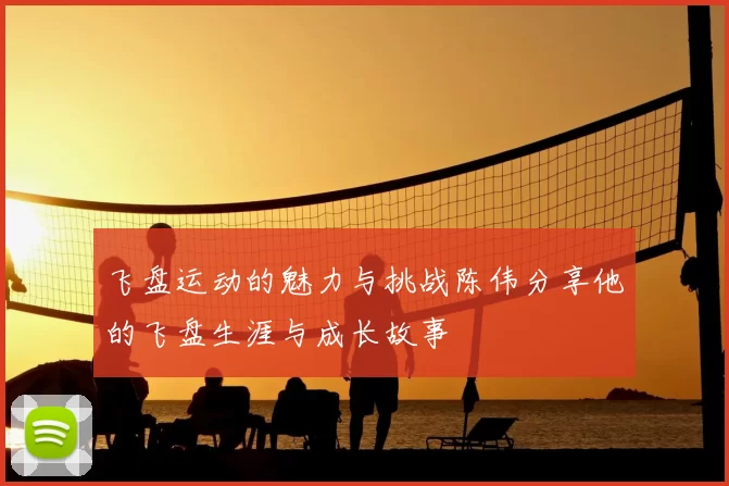 飞盘运动的魅力与挑战陈伟分享他的飞盘生涯与成长故事
