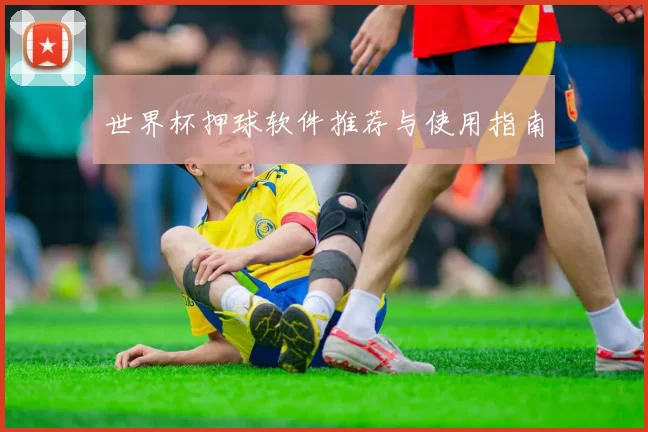 世界杯押球软件推荐与使用指南