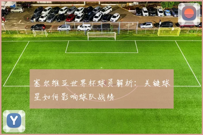 塞尔维亚世界杯球员解析:关键球星如何影响球队战绩