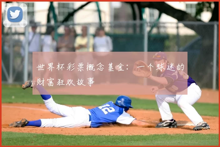世界杯彩票概念基金：一个球迷的财富狂欢故事