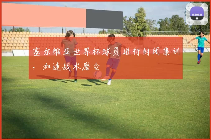 塞尔维亚世界杯球员进行封闭集训，加速战术磨合